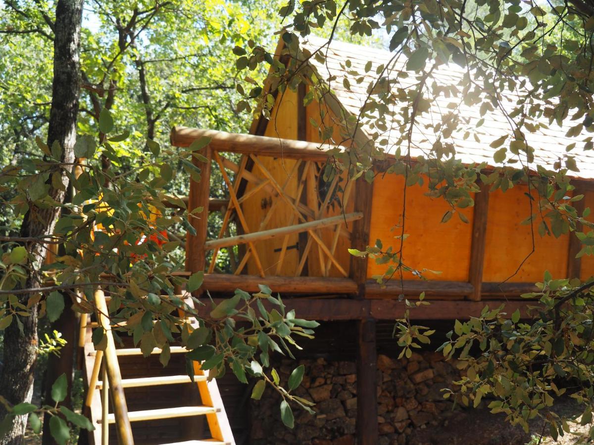 Domaine De La Borie Otel Trans-en-Provence Dış mekan fotoğraf